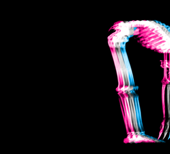 Aulas de Stretch and Placing- Klein Technique™ - Forum Dança
