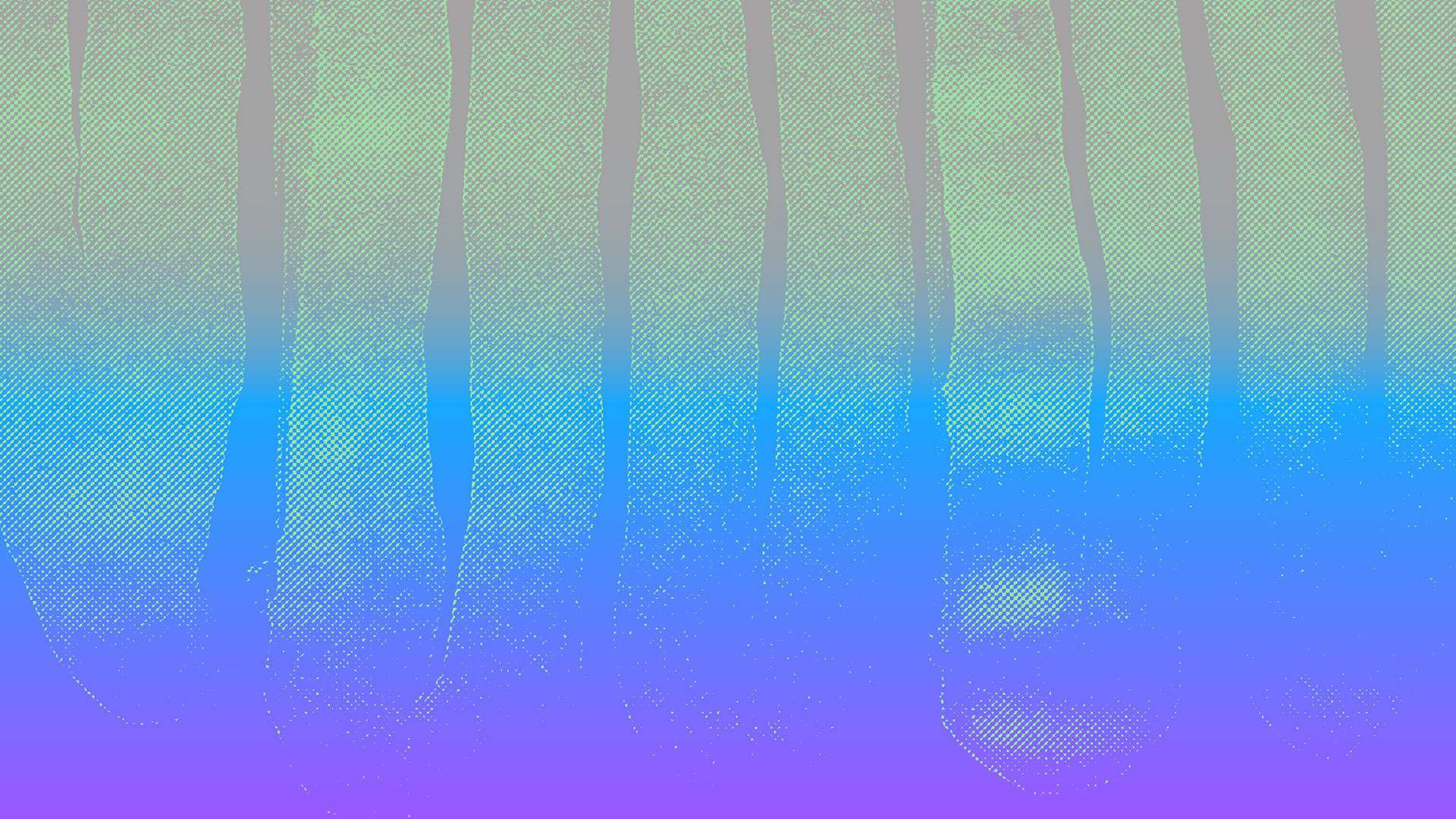 35.º CGPAE